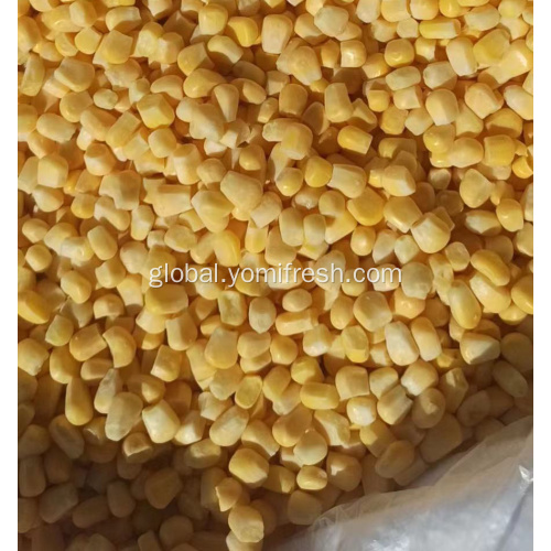 IQF Corn Frozen Whole Kernel Sweet Corn Factory